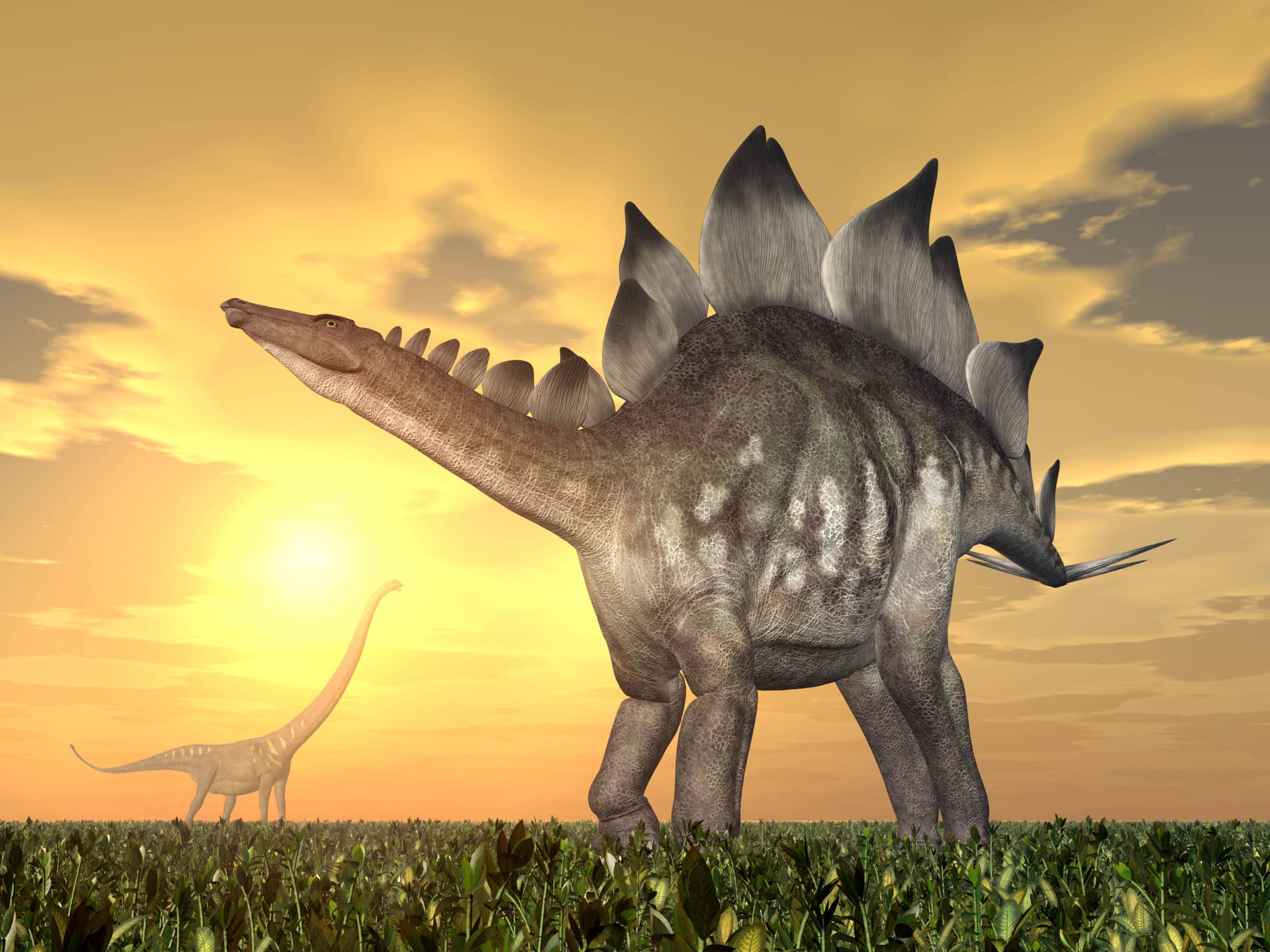 dino adventskalender