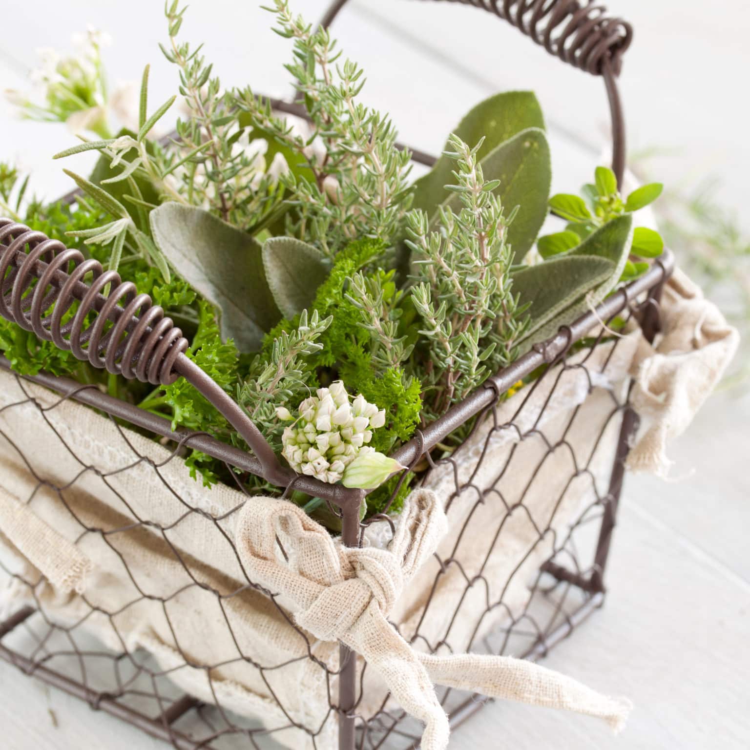 Nützliche Geschenke für den Garten 10 Ideen für Gartenbesitzer